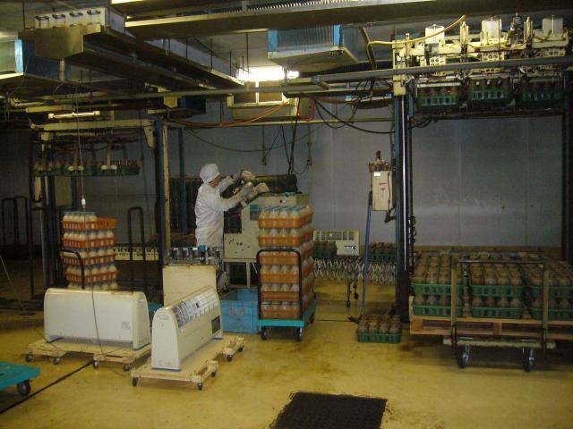 しめじ栽培工場の作業工程